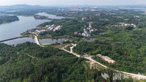 免费配资网站 北大校友乡村振兴实践基地在黄陂挂牌