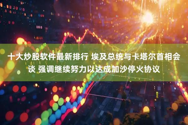十大炒股软件最新排行 埃及总统与卡塔尔首相会谈 强调继续努力以达成加沙停火协议